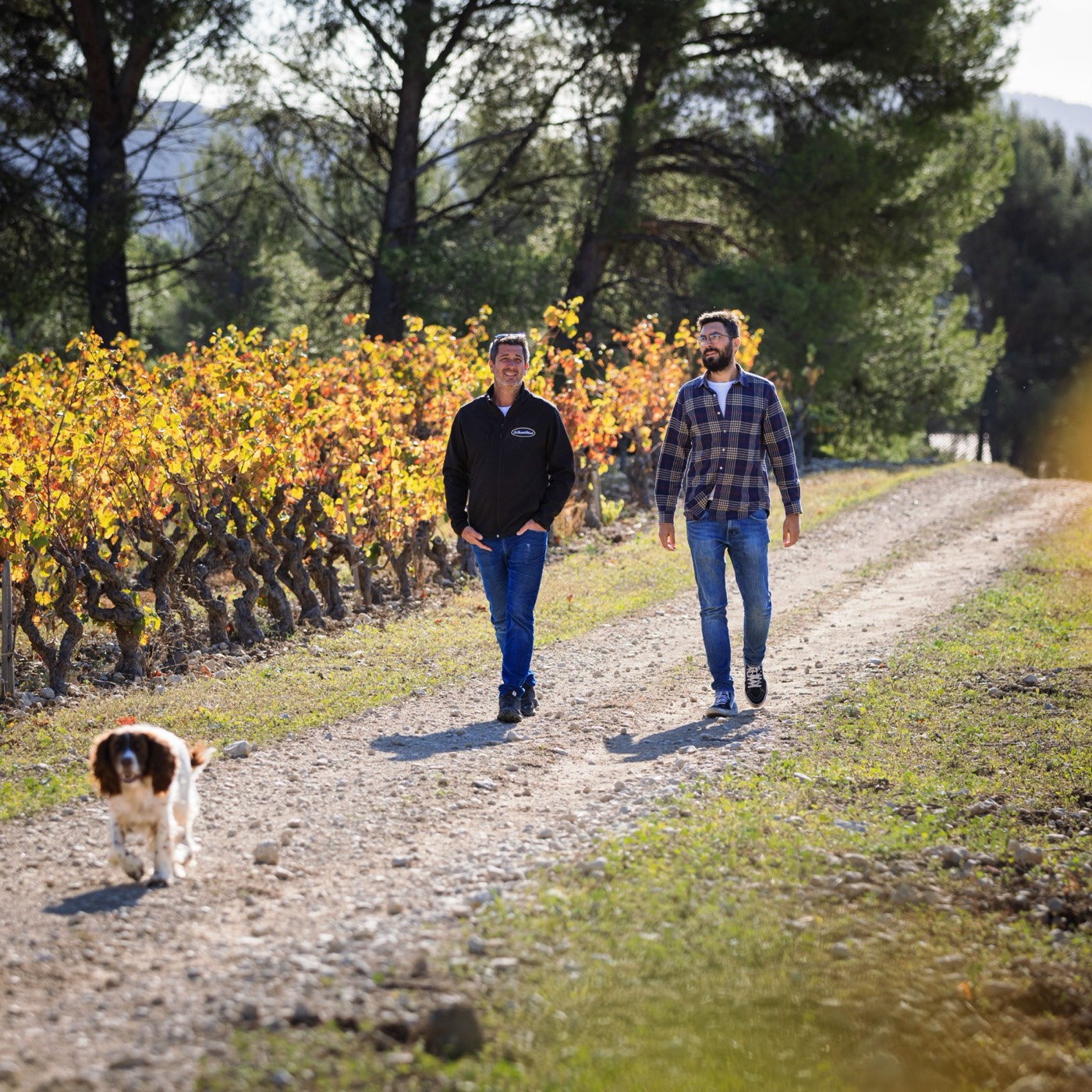 Portrait des vignerons de la Bastide Blanche